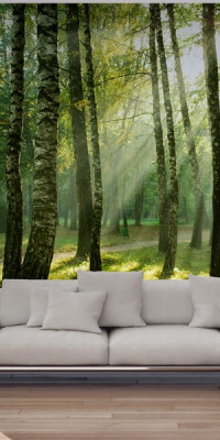 Poszter tájképTPT032